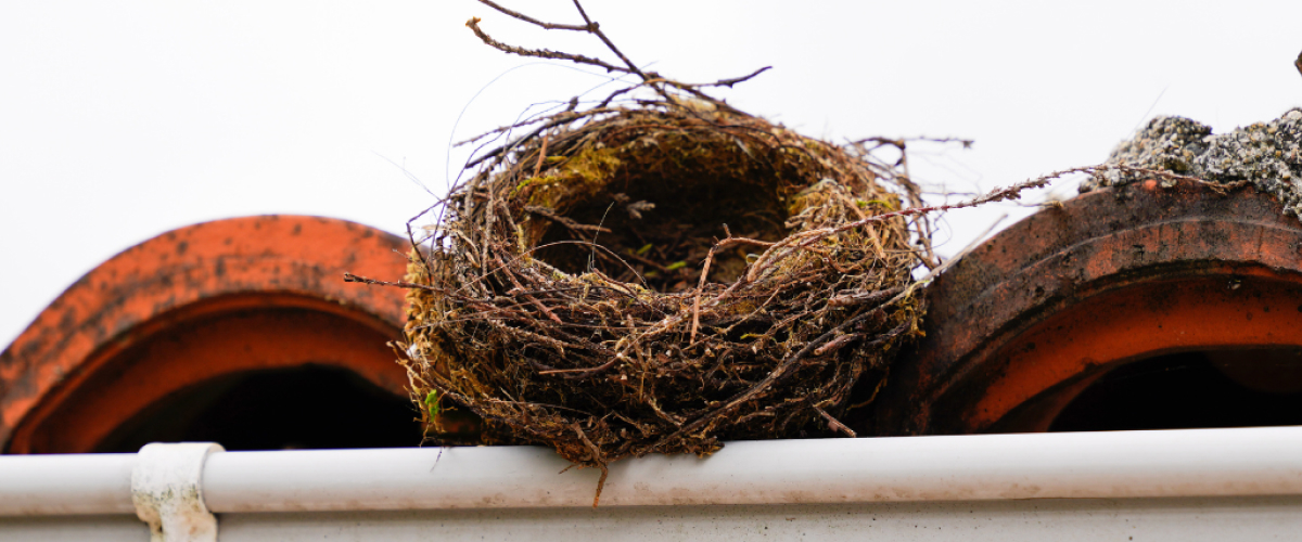 A empty birds nest on top of a dirty roof.
